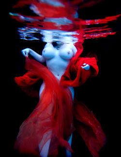 mrmrswoodman:  London Andrews, underwater  mrmrswoodman.tumblr.com - SUBMIT 