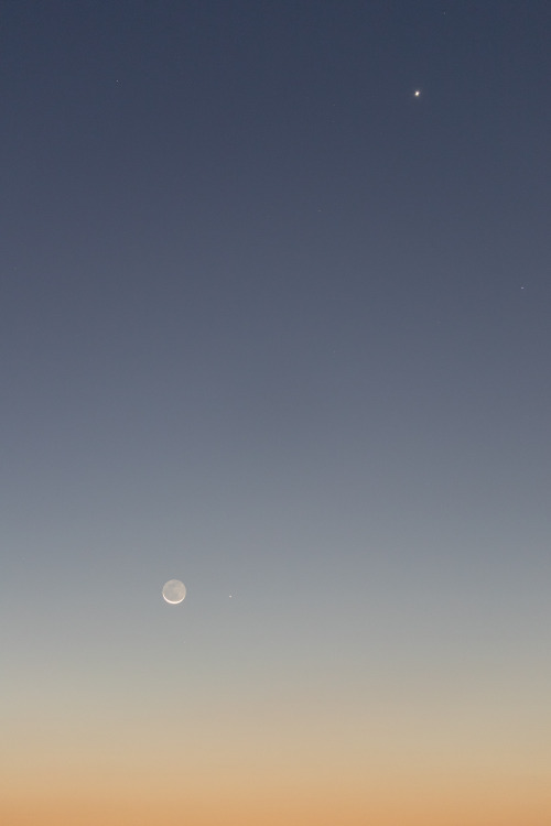 meme-xx:  Moon, Venus, Mercury, and Spica (Nov. 14, 2020)