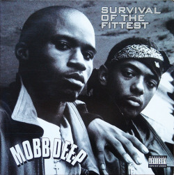BACK IN THE DAY |5/29/95| Mobb Deep released the single, Survival