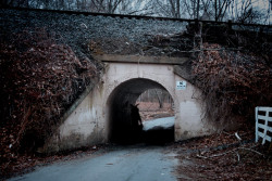 ellulosa:  The Bunny Man Bridge - The legend of the Bunny Man