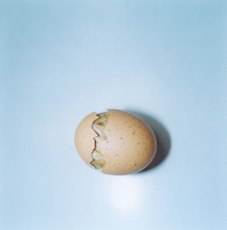 likeafieldmouse: Rinko Kawauchi