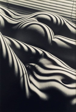 romantisme-pornographique:    Lucien Clergue, Two Zebra Nudes,