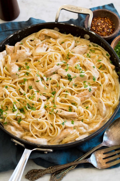 daily-deliciousness:  Chicken alfredo