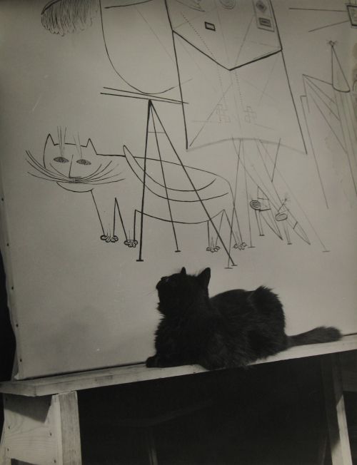 poboh:Gjon Mili’s cat Blackie looking at his portrait in mural