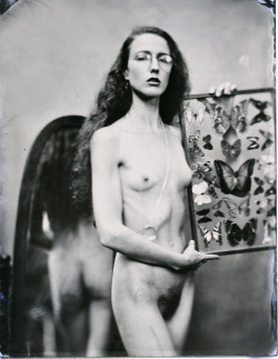 wetplatenudes:  Neptunian Haze, The Butterfly Collector (series)