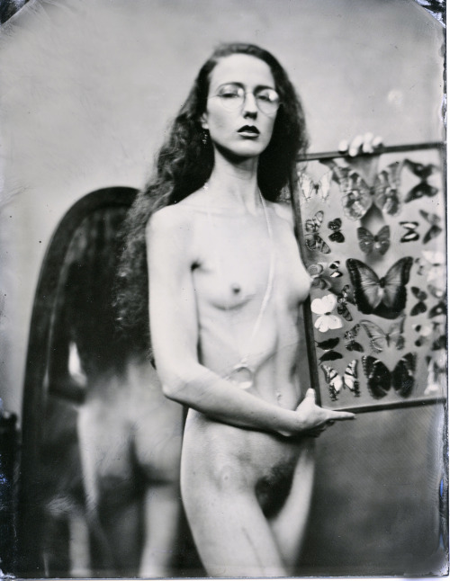 wetplatenudes:  Neptunian Haze, The Butterfly Collector (series) Аллан Бaрнecc   2.2013 