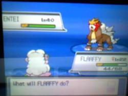 chimeracorp:  mynosylexia:  I WAS FUCKINSURFINGAND GOD DAMN ENTEI