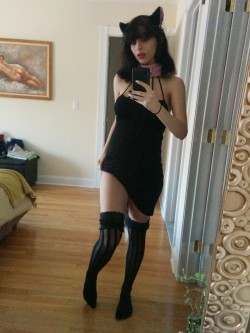 moniqalefevre:  Here kitty kitty kitty.   Stockings and ears