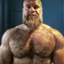 musclecorps:   
