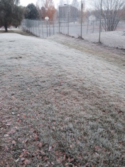 earthiling:  Second favourite weather, grey skies and frost !!!