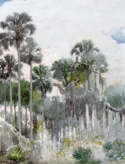 wetreesinart:  Winslow Homer (Am., 1836-1910), Florida Jungle,