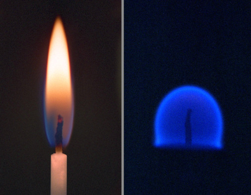 spaceplasma:  ▲ Image to Right: On Earth, a candle burns with a tall, yellow flame. In space, a smaller, blue flame burns on the center of the wick. Fire in Space If a fire were to break out on a spacecraft in orbit, astronauts would fight the flames