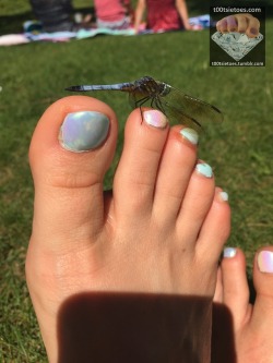 foot-fetish-ladies:  How about a closer look at the dragonfly