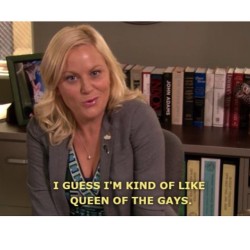 Why is Leslie Knope actually me? We’re both Hilary Clinton