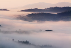 polandgallery:  Photo Album: Pieniny National Park, Poland by