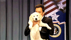 latenightjimmy:  Just in case your Monday needed this, here’s
