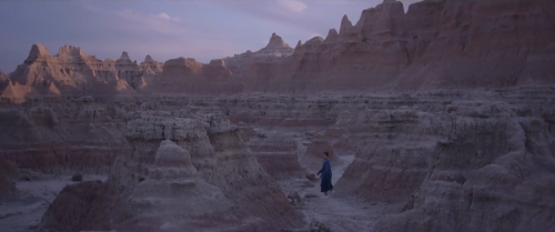 365filmsbyauroranocte:Nomadland (Chloé Zhao, 2020)