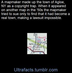 ultrafacts:  Agloe is a fictional place in Delaware County, New