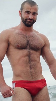 BearWindow