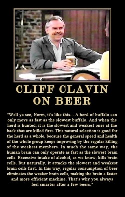 Barstool philosophy, Cheers-style … classic comedy  :)