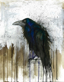 iheartcrows:  (via Raven – Eslinger Art Gallery) 