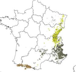 neeetsocks: maptitude1:  Predators in France (brown for bears,