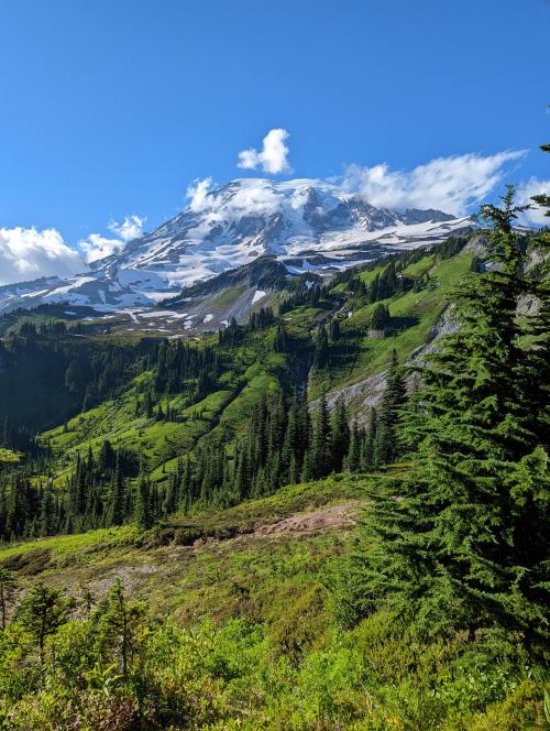 amazinglybeautifulphotography:Mt Rainier, Washington (3072x4080)[OC]