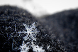 cnet:   Observe the science of a snowflake        Merry Christmas