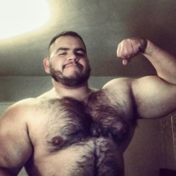 yoquierouno:  Power of the bear 