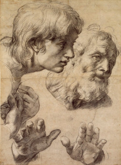 Raphael Saint Peter and Saint John Study for The Transfiguration (1519-20)