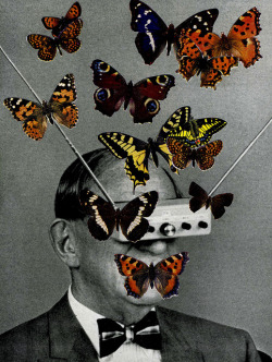 oxane:  Butterfly Mind by Kollage Kid 