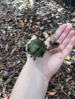 necro-mancee:  I took my nephew to the park and we found this