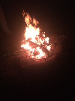First fire in the backyard , yay bonfire season . @dozer09 @quadjunky