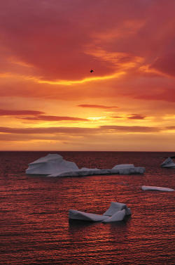 le-vicieux:  Icebergs At Sunset by Christian Heeb 