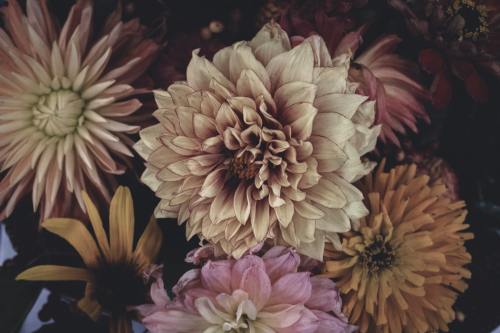 virtuallyinsane:  by  Dallas Reedy  