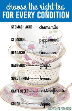 hella-bogus:  thatsilvertongue:  musemonthly:tea for your health!