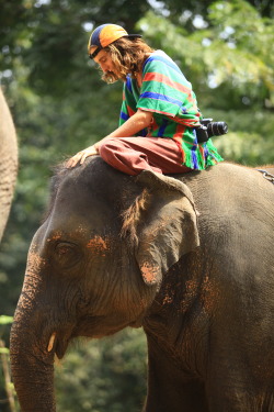 hopefullyenough:  Patara Elephant Farm, Chiang Mai, Thailand!I