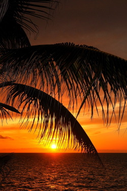 r2–d2:  The End of The Day | Website 
