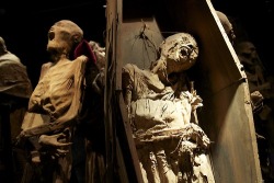 congenitaldisease:  The Guanjuato Mummies are considered to be
