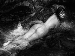 cedorsey:  The Lady Of The RiverPhoto Credit: (Walter Belfiore)The