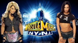 wwedivaseditions:  I hope this match takes place!!