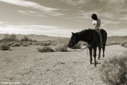 dwingephotography:Desert Range