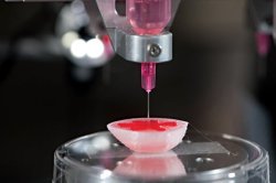 kqedscience:   5 Body Parts Scientists Can 3-D Print       “Tissue
