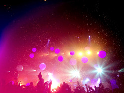 break-ing-the-girl:  Passion pit at rpi field house- take a walk