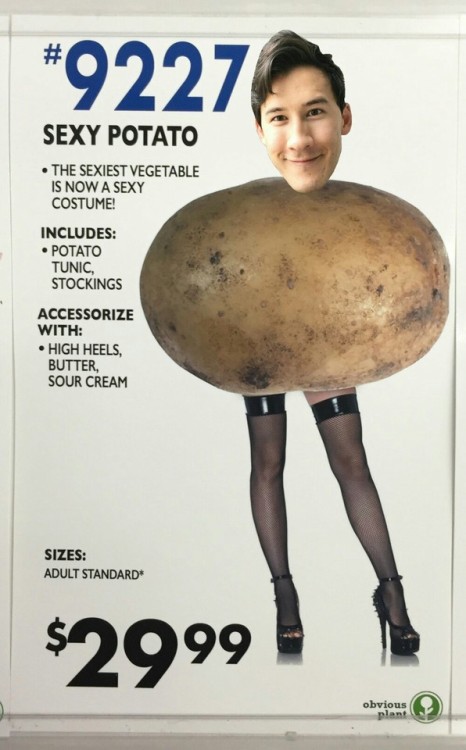 septicstacheedits:  Potatoplier  @caustic-synishade @markiplier