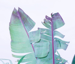 margauxroy:  Archive : 2009 