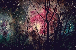 Little Things