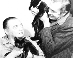 beautyandterrordance:  Vincent Price and Peter Lorre auditioning