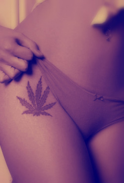 smokeweedhavesex:  the love for the herb 