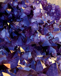 oecologia:  Amethyst by cobalt123. 